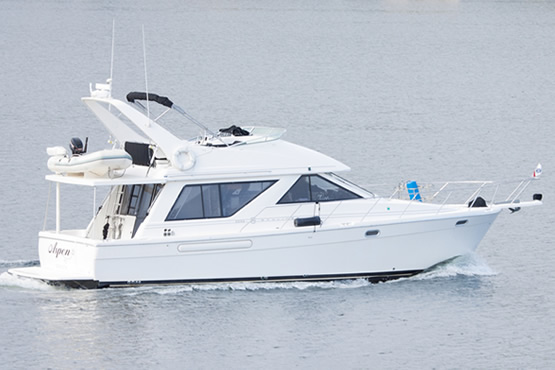Bayliner Motoryachten kaufen, finanzieren und versichern