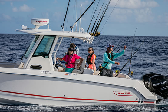 Boston Whaler Angelboote kaufen, finanzieren und versichern