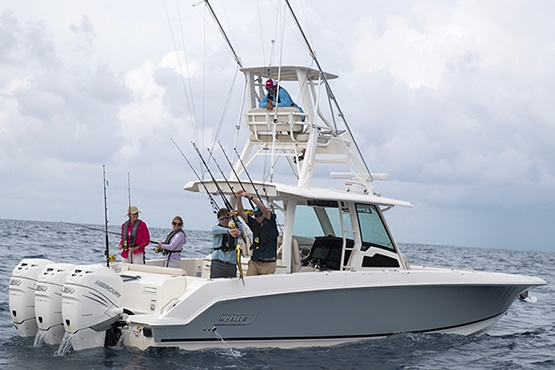 Boston Whaler Fischerboote kaufen, finanzieren und versichern