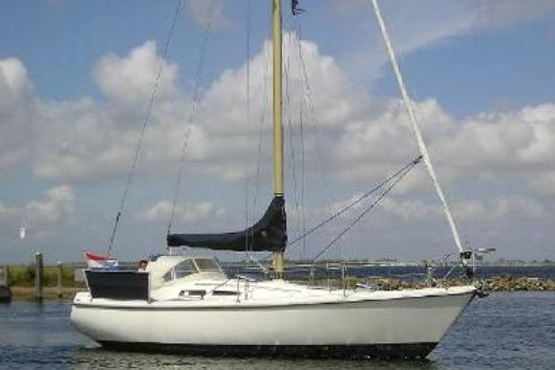 Contest Segelboote kaufen, finanzieren und versichern