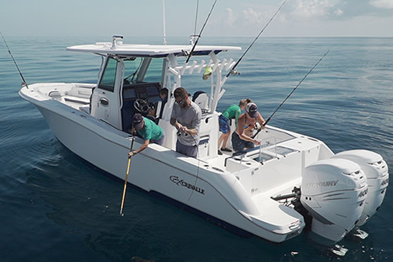 Crevalle Fischerboote kaufen, finanzieren und versichern